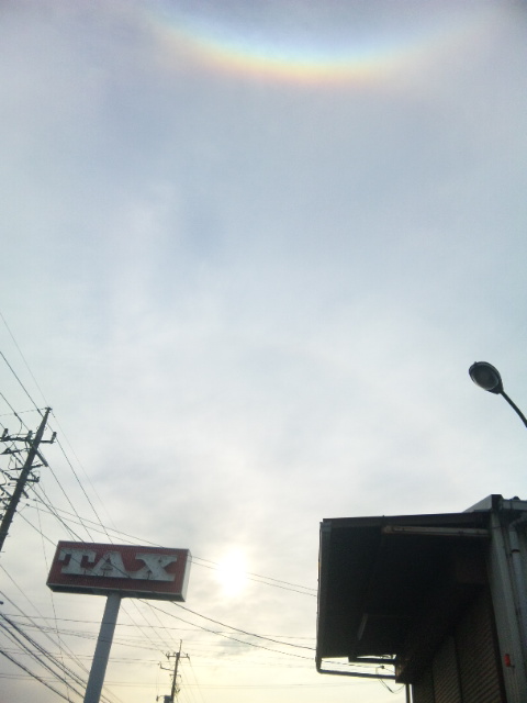 18109.jpg nk_