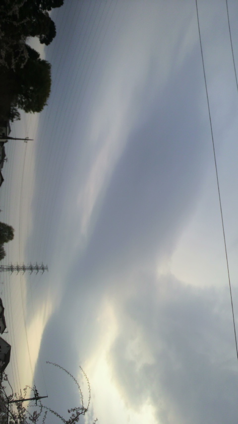 18131.jpg �n�k�_