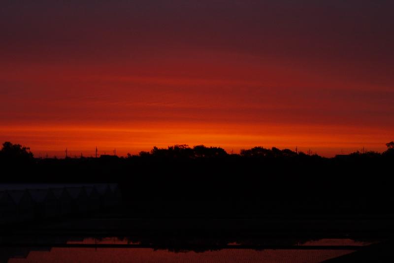 21913.jpg �n�k�_