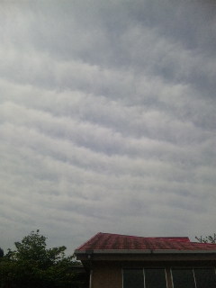 22064.jpg �n�k�_