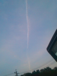 22136.jpg �n�k�_