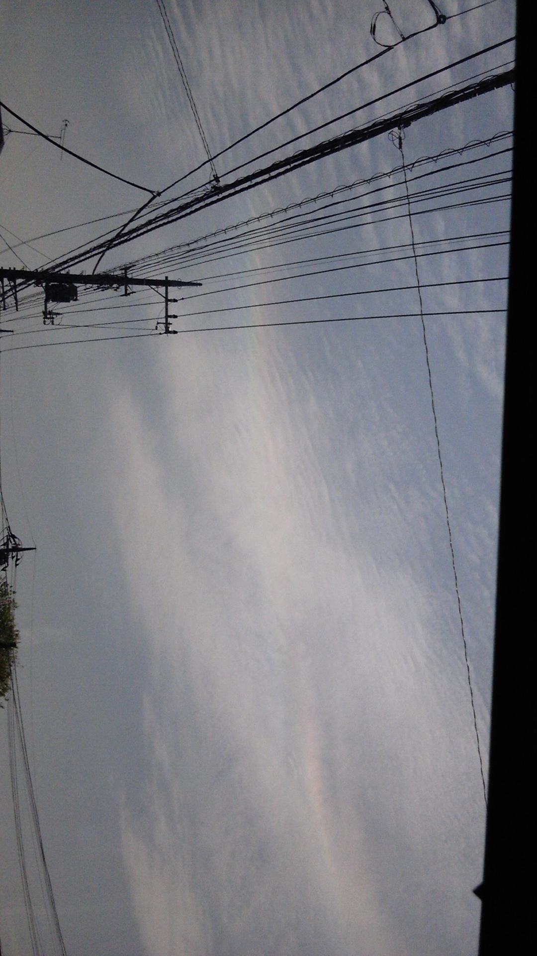 22161.jpg �n�k�_