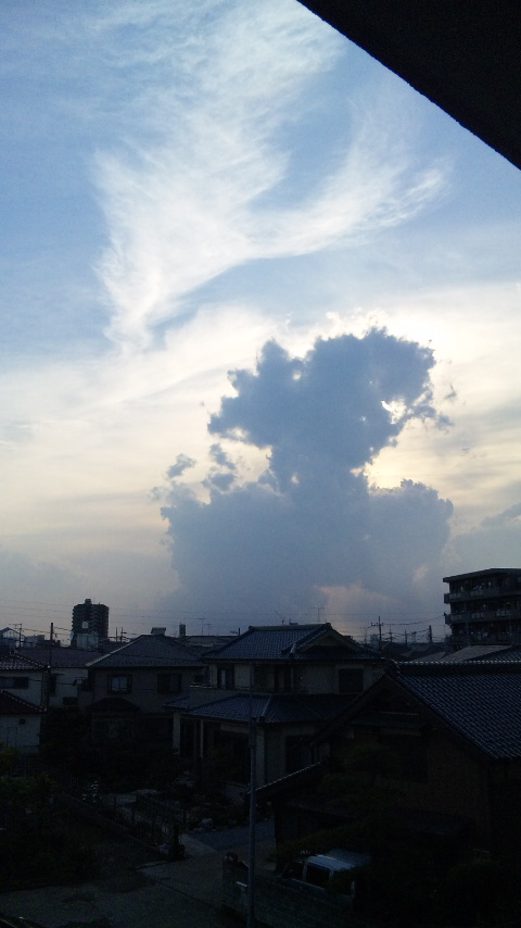 22662.jpg �n�k�_