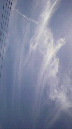 23033.jpg �n�k�_