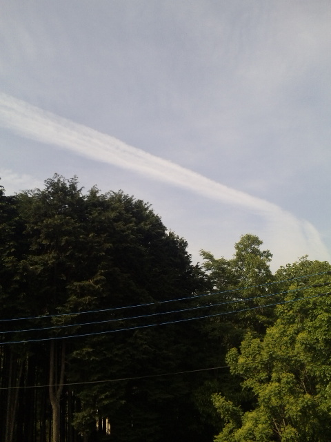 23381.jpg �n�k�_