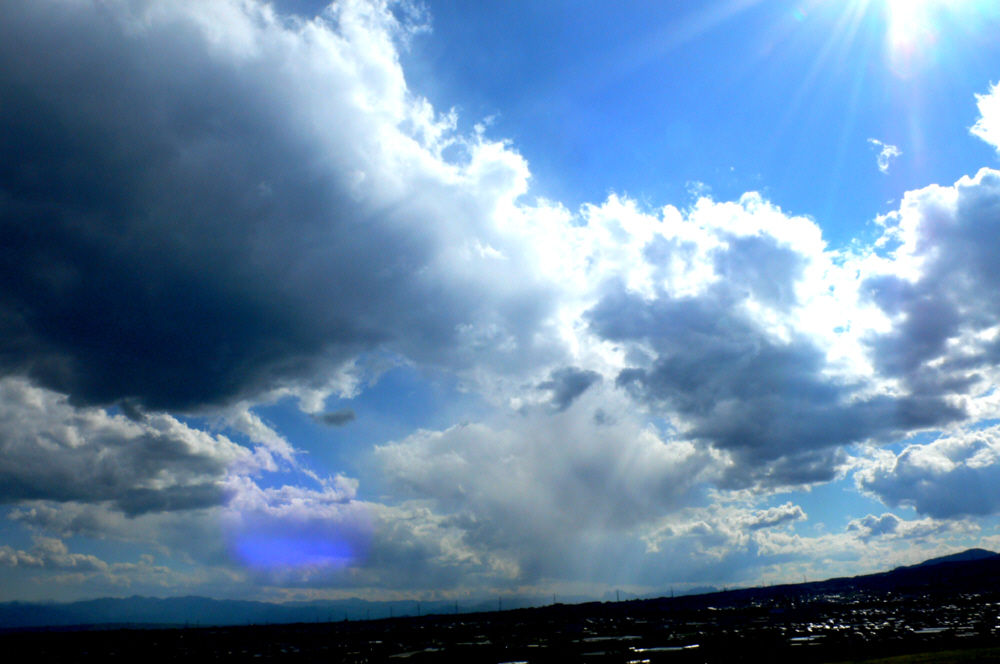 23519.jpg �n�k�_