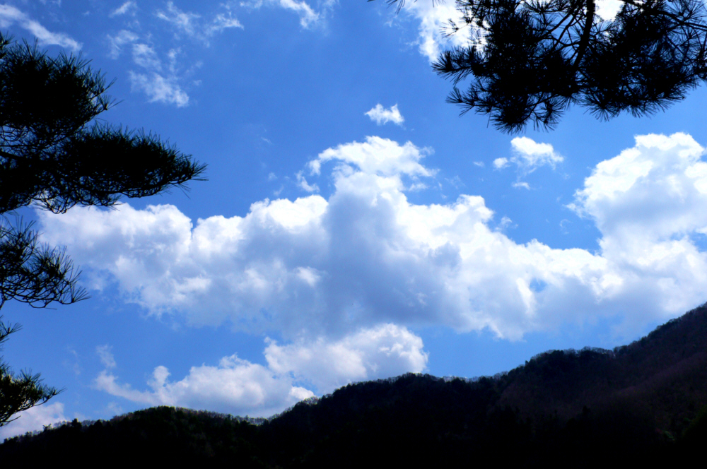 23817.jpg �n�k�_