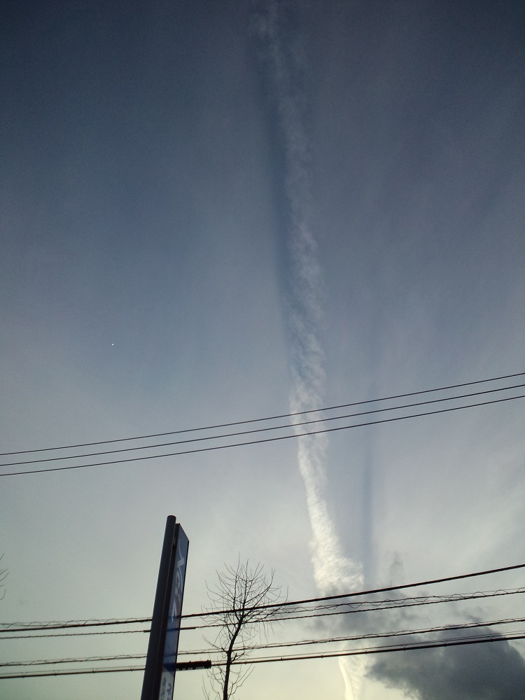 24113.jpg �n�k�_