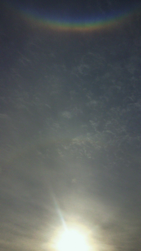 24407.jpg �n�k�_