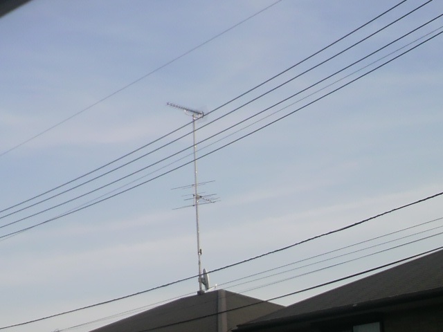 24515.jpg nk_