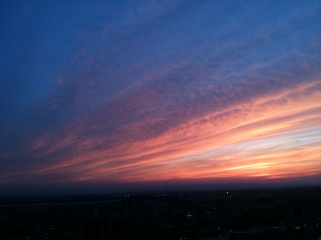 24608.jpg �n�k�_