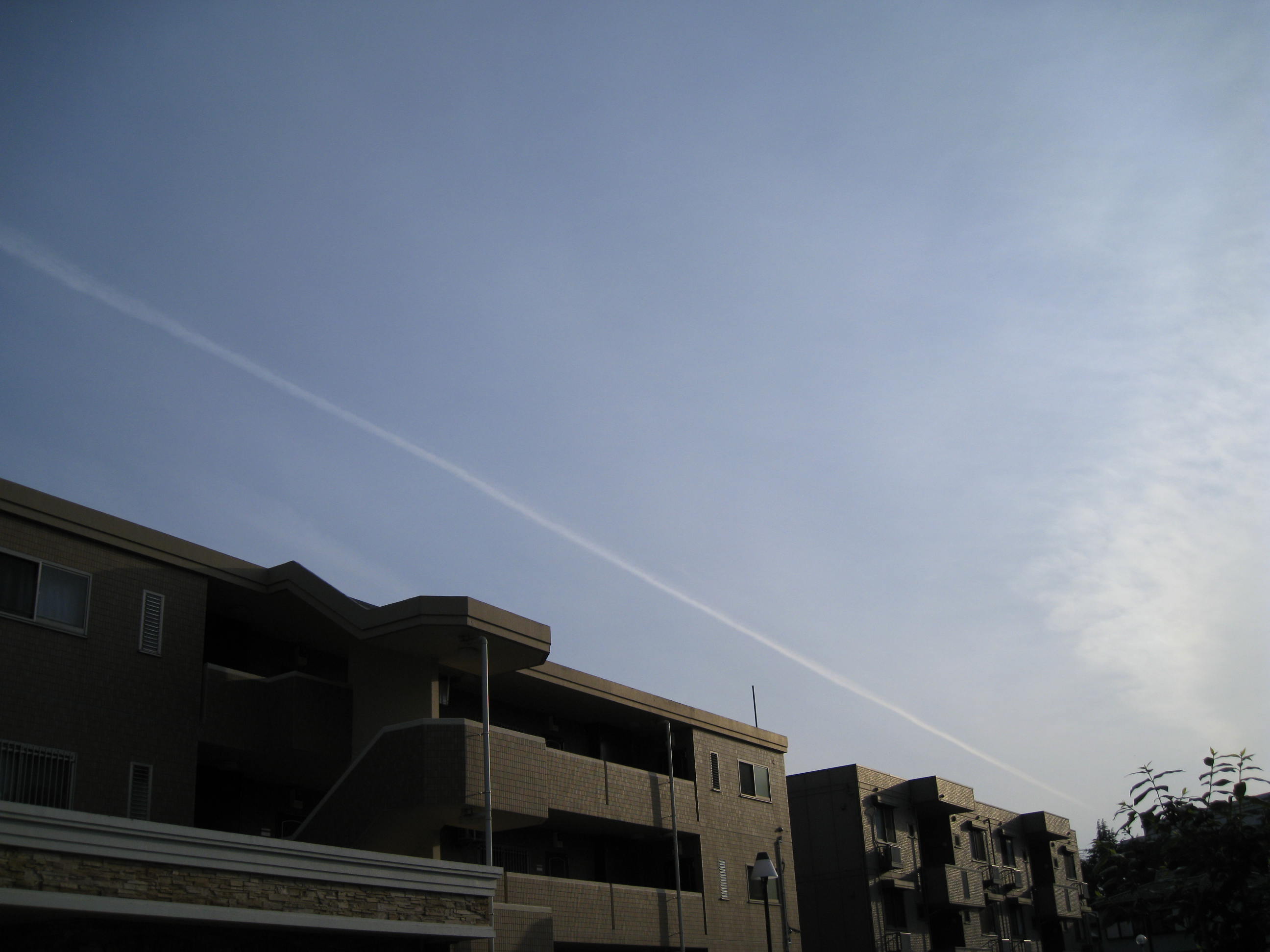 24704.jpg �n�k�_