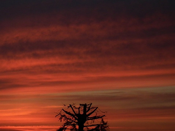 24718.jpg �n�k�_