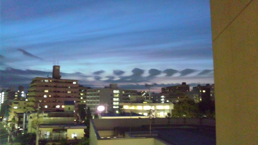 24754.jpg �n�k�_