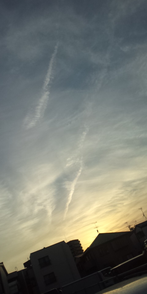 24992.jpg �n�k�_