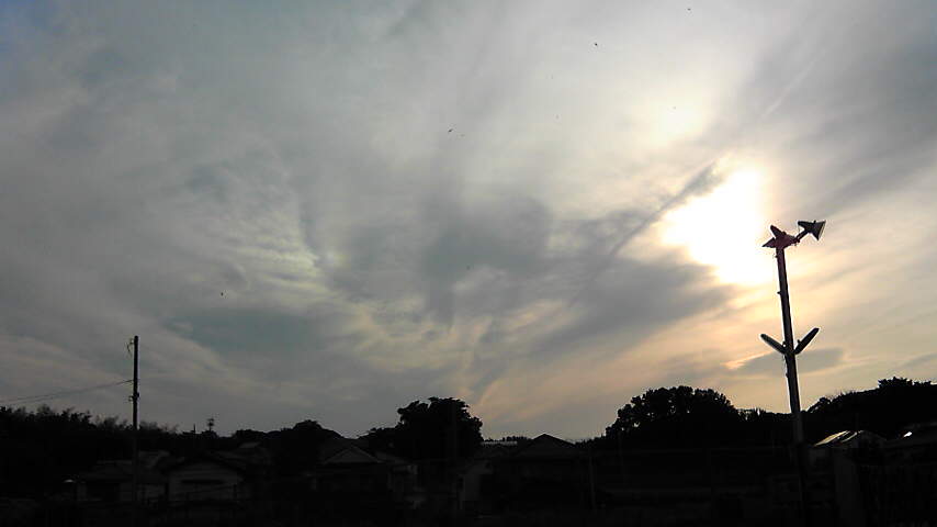 25045.jpg �n�k�_