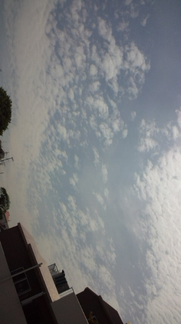 31786.jpg �n�k�_