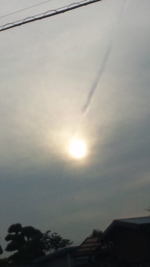 32105.jpg �n�k�_