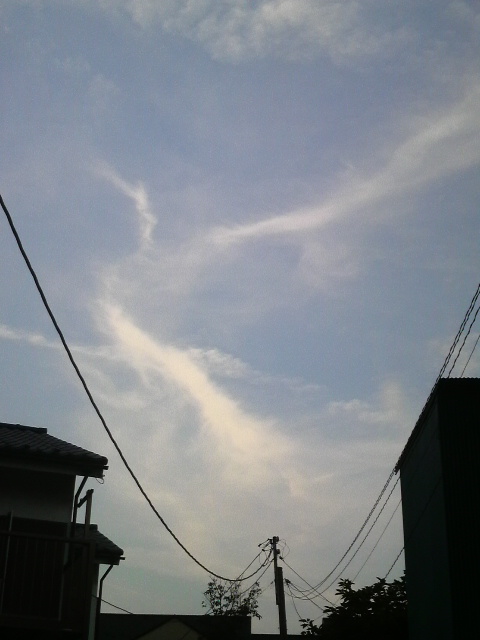 37149.jpg �n�k�_