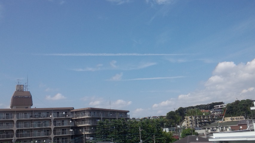 37295.jpg �n�k�_