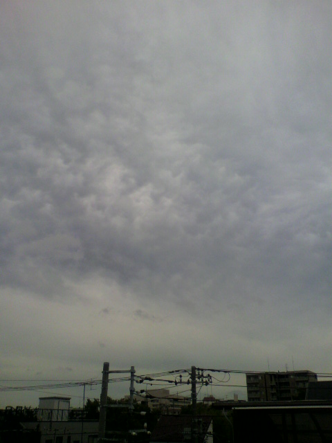 37558.jpg �n�k�_