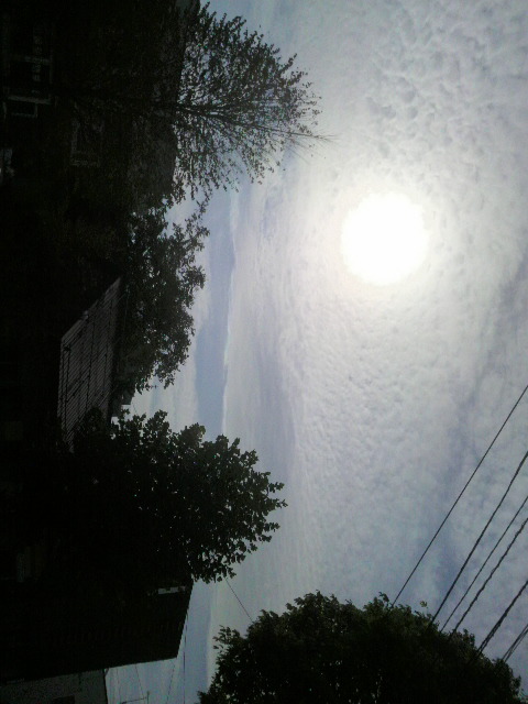 60142.jpg �n�k�_