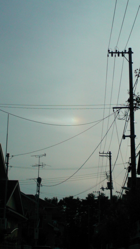 60166.jpg nk_