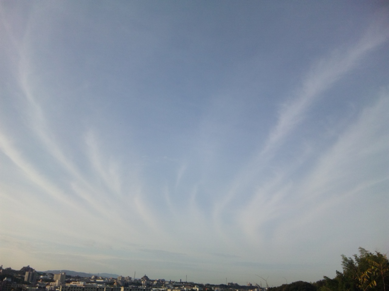 60214.jpg nk_