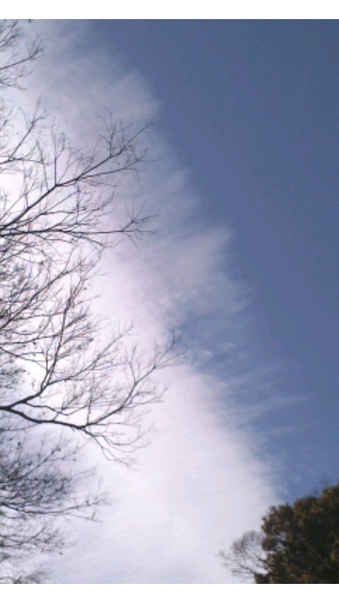 68385.jpg �n�k�_