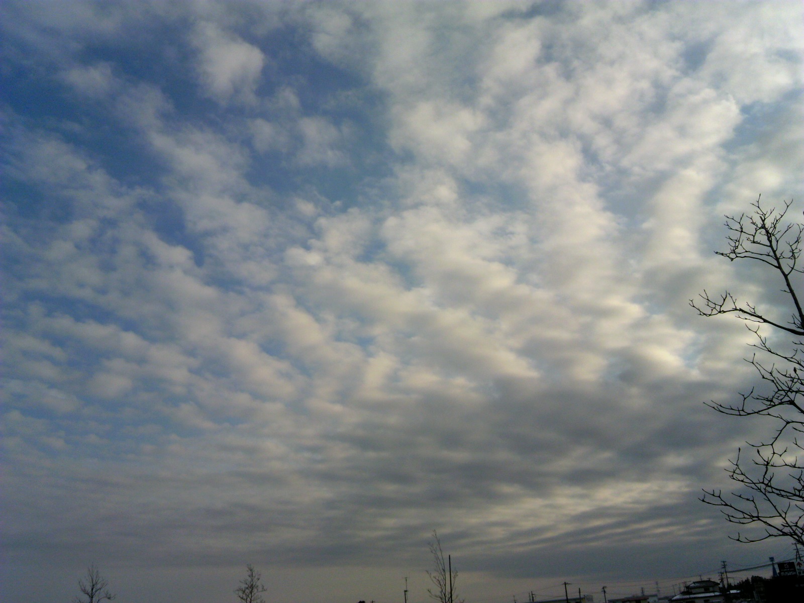 68507.jpg �n�k�_