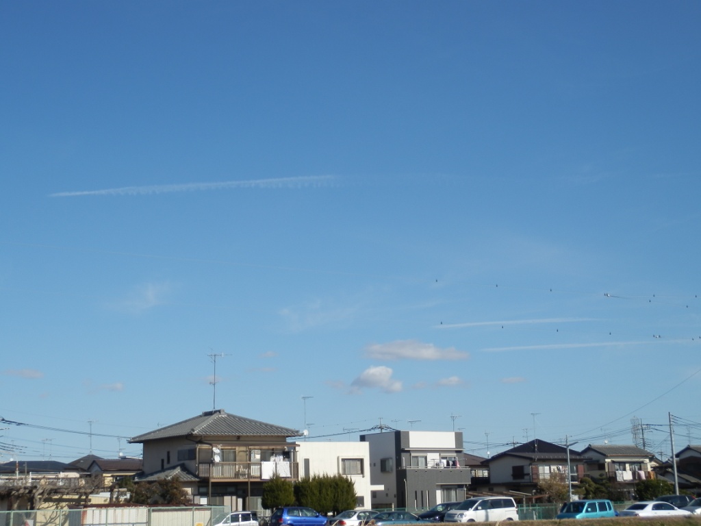 68787.jpg �n�k�_