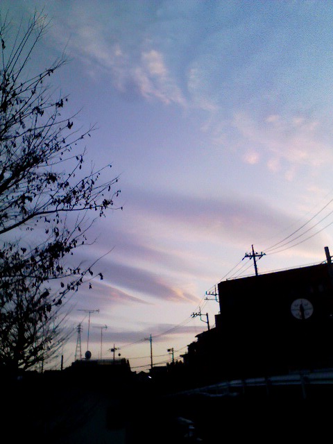 69311.jpg �n�k�_