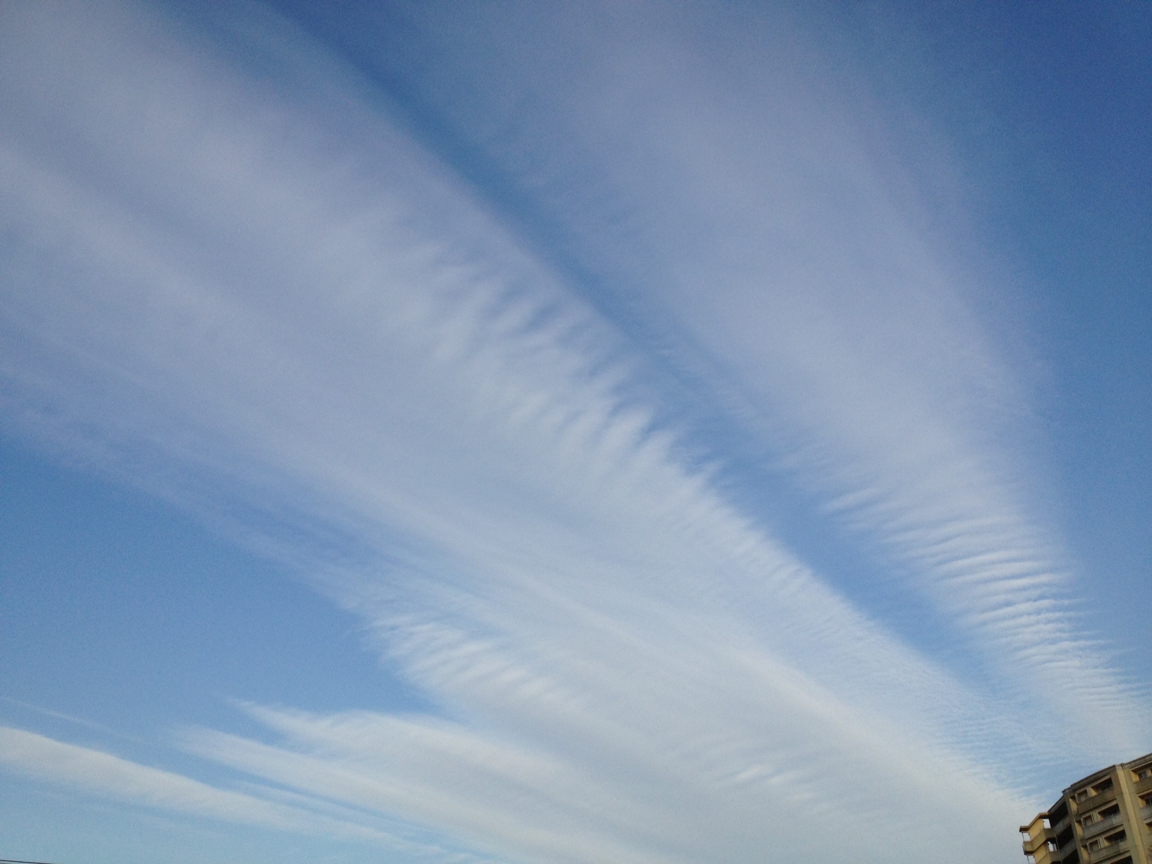 69364.jpg �n�k�_