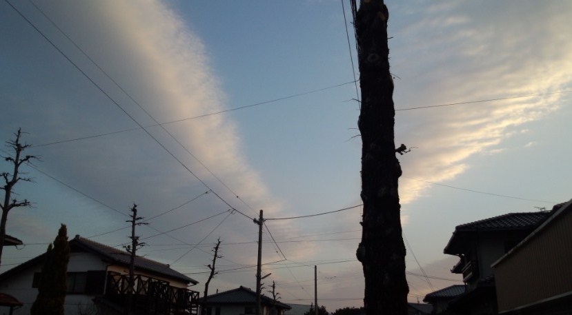 69531.jpg �n�k�_