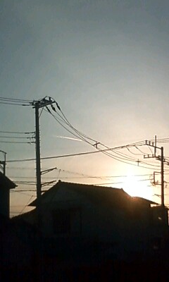 70221.jpg nk_