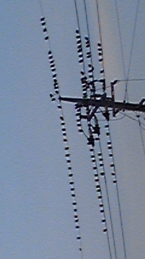 70241.jpg nk_