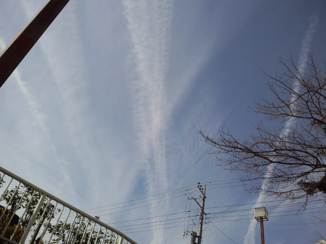 70408.jpg �n�k�_