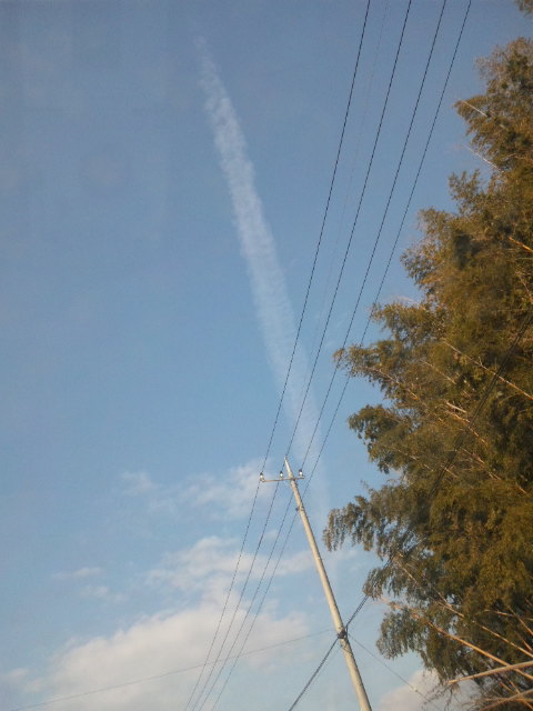 70625.jpg �n�k�_