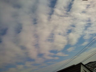 71679.jpg �n�k�_