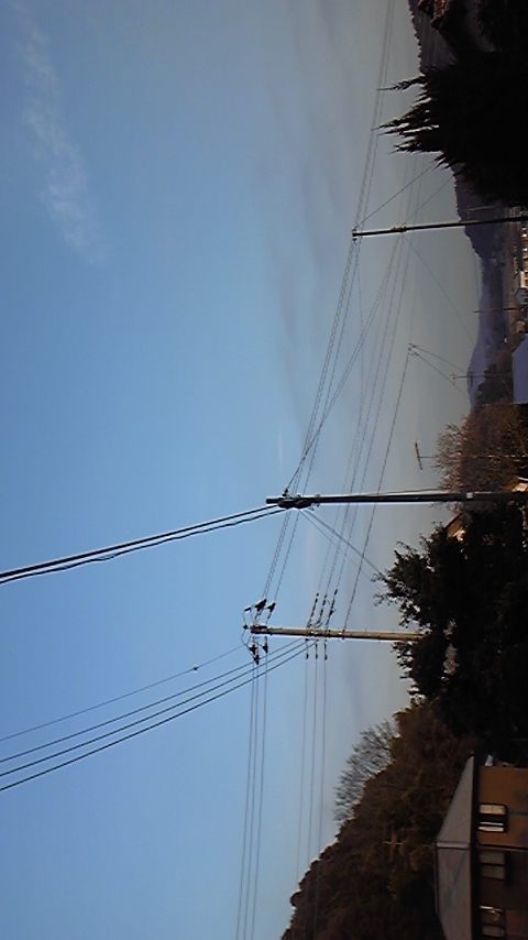 71895.jpg nk_