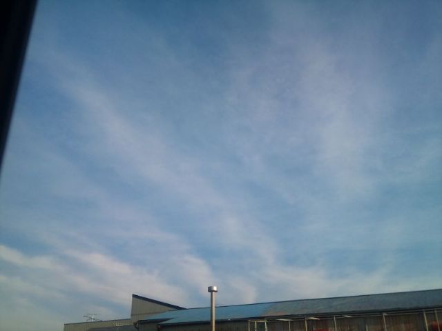 71912.jpg nk_