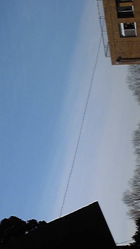 71931.jpg nk_