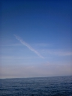 73774.jpg �n�k�_