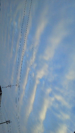 73812.jpg �n�k�_