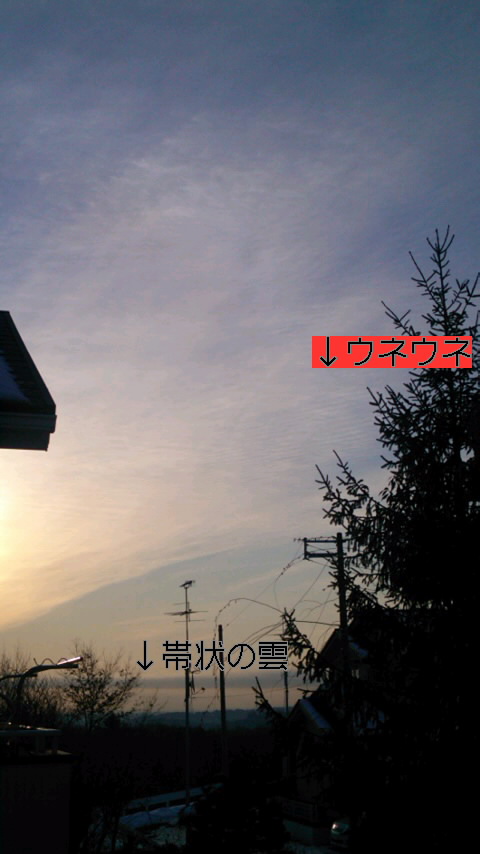 73916.jpg nk_