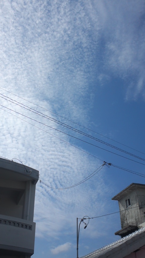 73974.jpg �n�k�_