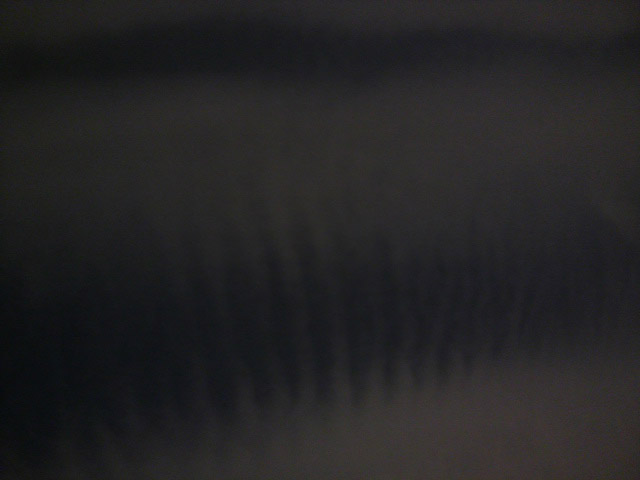 74039.jpg nk_