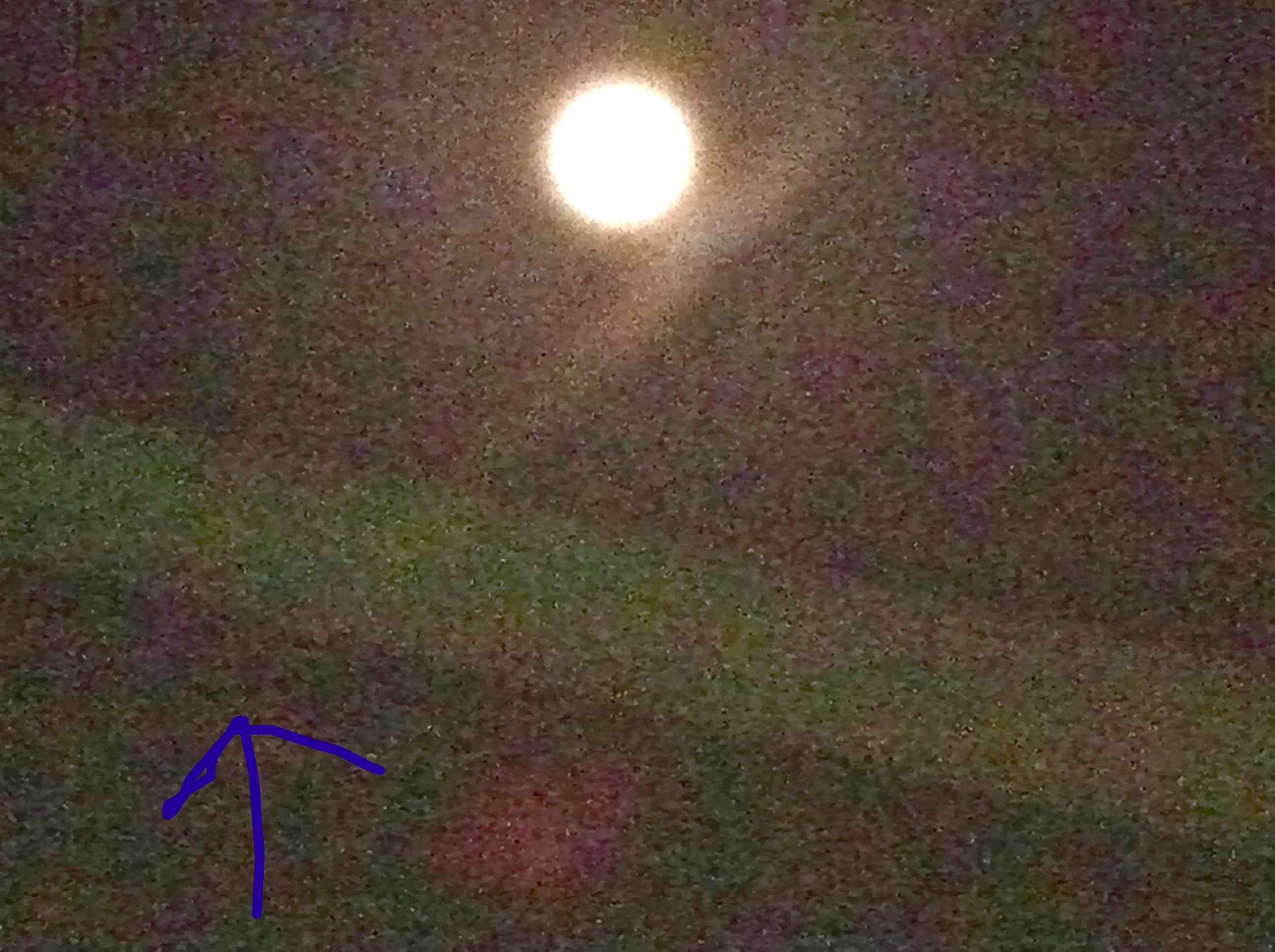 74399.jpg �n�k�_