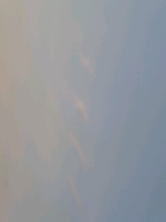 74490.jpg nk_