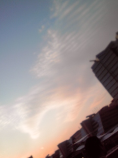 74641.jpg nk_
